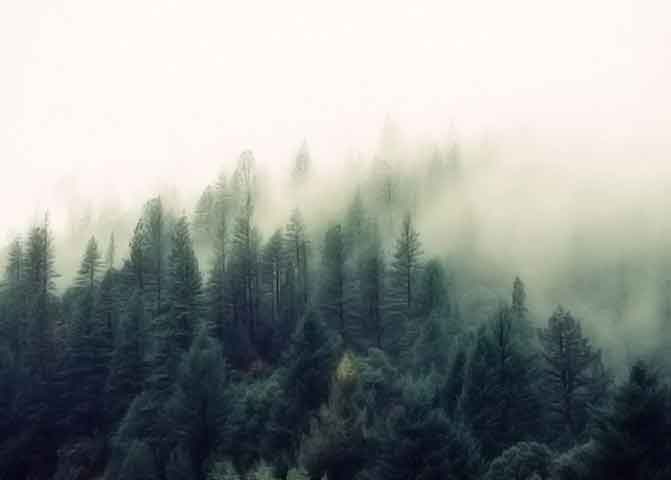 免费cc攻击测试